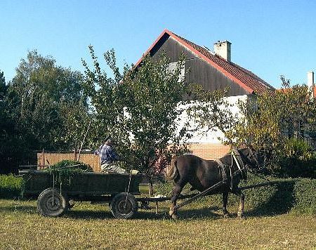 Beckov Platanus Bed & Breakfast エクステリア 写真