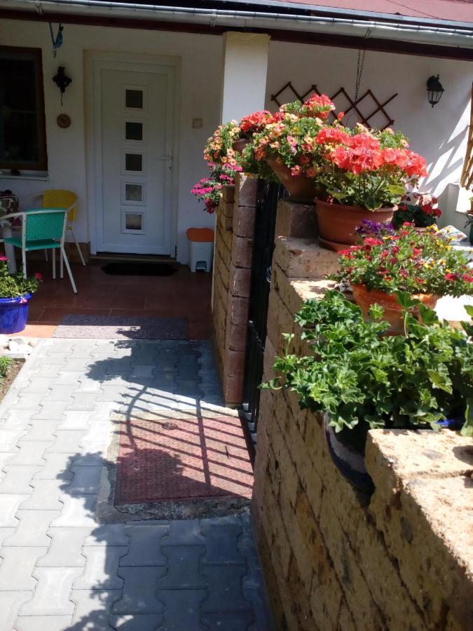Beckov Platanus Bed & Breakfast エクステリア 写真