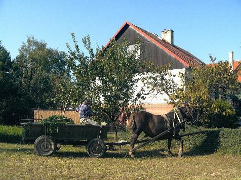 Beckov Platanus Bed & Breakfast エクステリア 写真