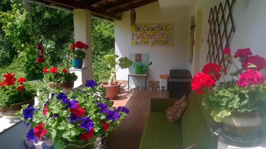 Beckov Platanus Bed & Breakfast エクステリア 写真
